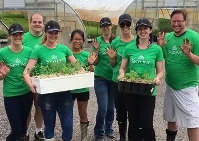 Seven Skyline employees plant saplings at a tree farm